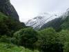 292 - 20150204 Milford Track