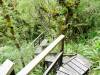 452 - 20150204 Milford Track