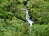 462 - 20150204 Milford Track