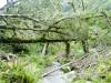 470 - 20150204 Milford Track