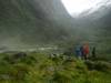 483 - 20150204 Milford Track