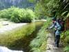 498 - 20150204 Milford Track