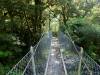 550 - 20150204 Milford Track