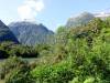 553 - 20150204 Milford Track