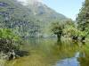 580 - 20150204 Milford Track