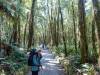 587 - 20150204 Milford Track