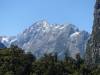 603 - 20150204 Milford Track