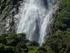 631 - 20150204 Milford Track