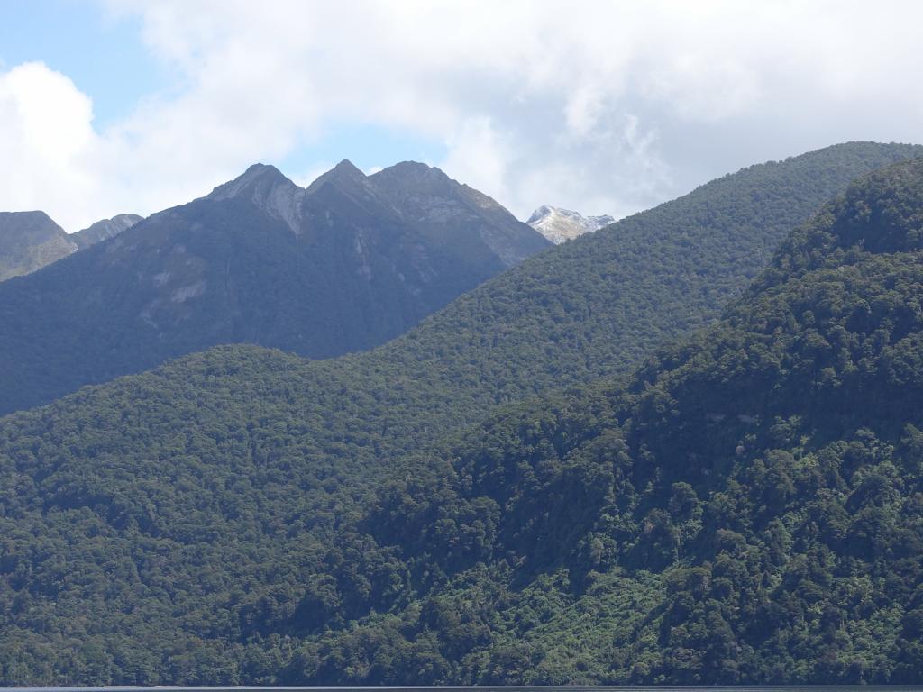 122 - 20150204 Milford Track