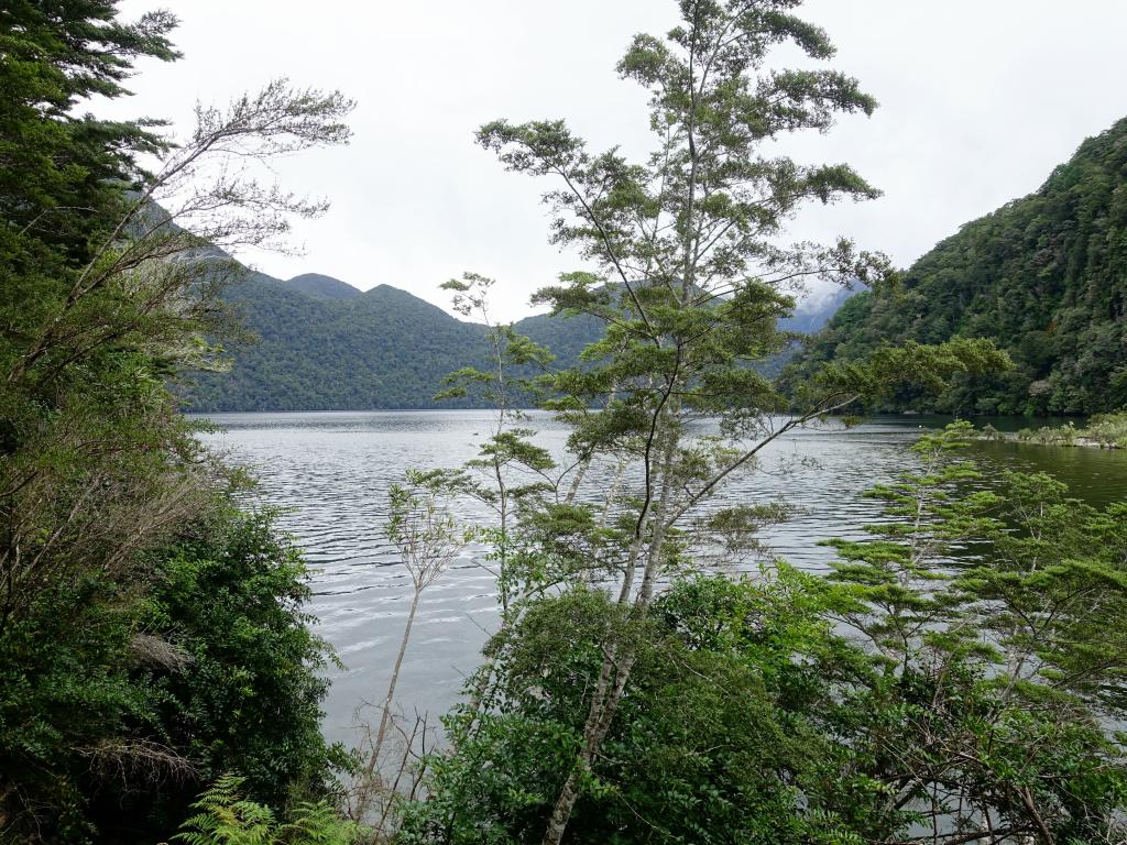 129 - 20150204 Milford Track