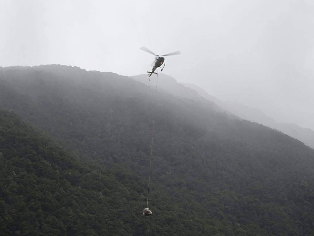 132 - 20150204 Milford Track