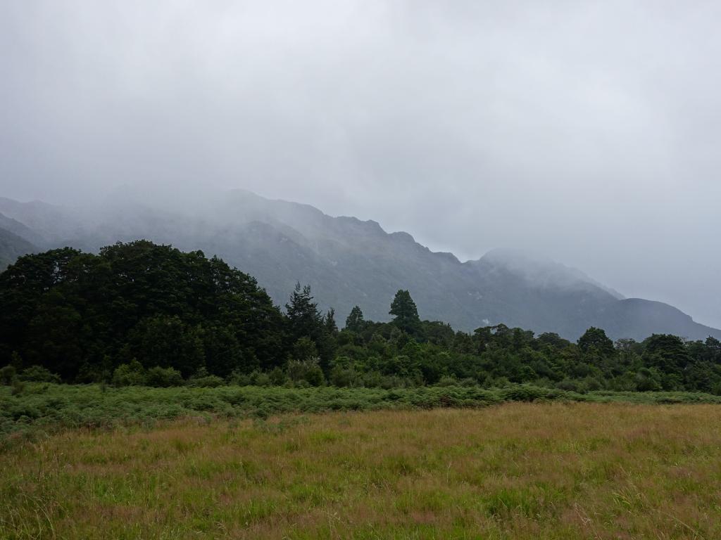 135 - 20150204 Milford Track