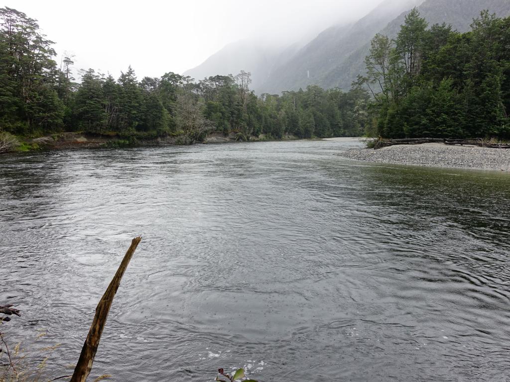 142 - 20150204 Milford Track