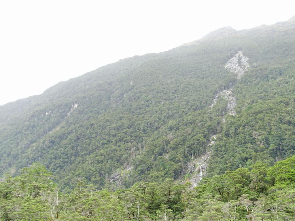 149 - 20150204 Milford Track