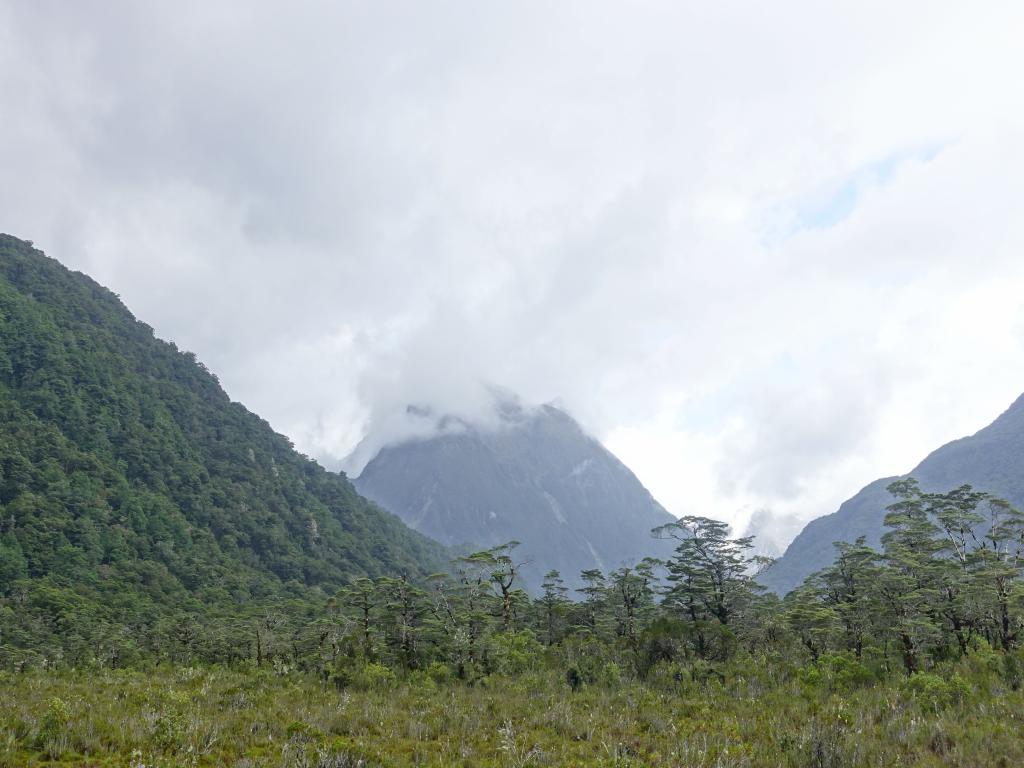 151 - 20150204 Milford Track