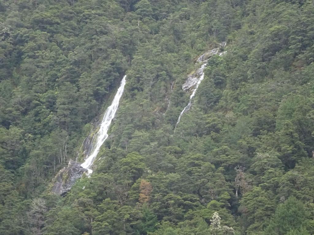 162 - 20150204 Milford Track