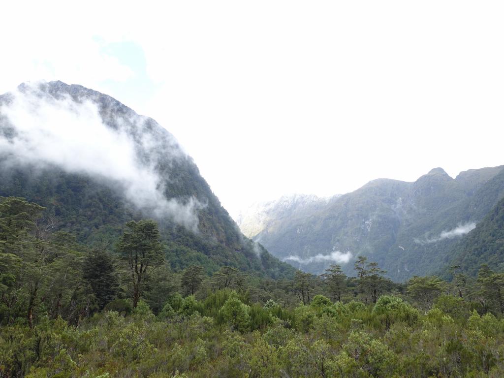 164 - 20150204 Milford Track