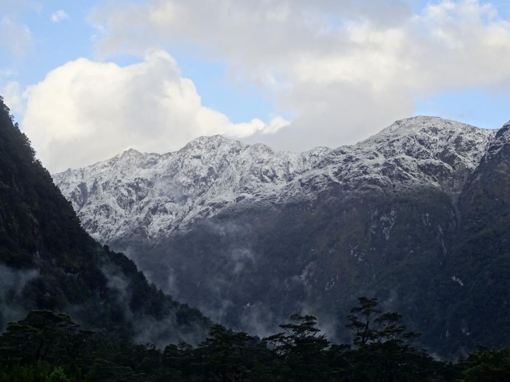 181 - 20150204 Milford Track