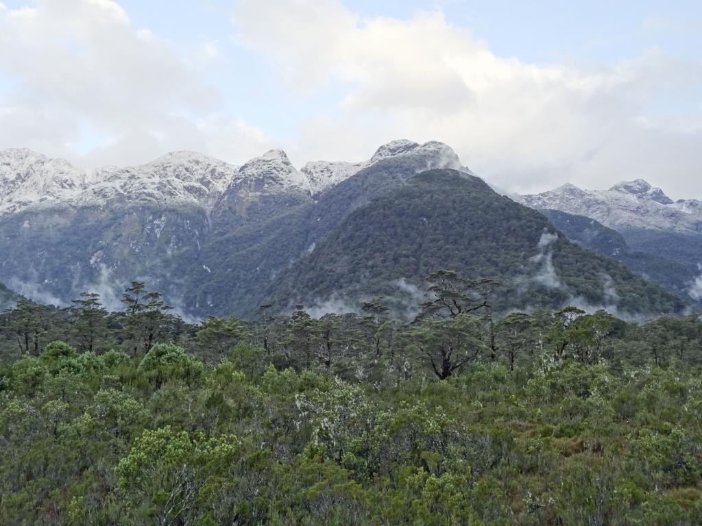 183 - 20150204 Milford Track