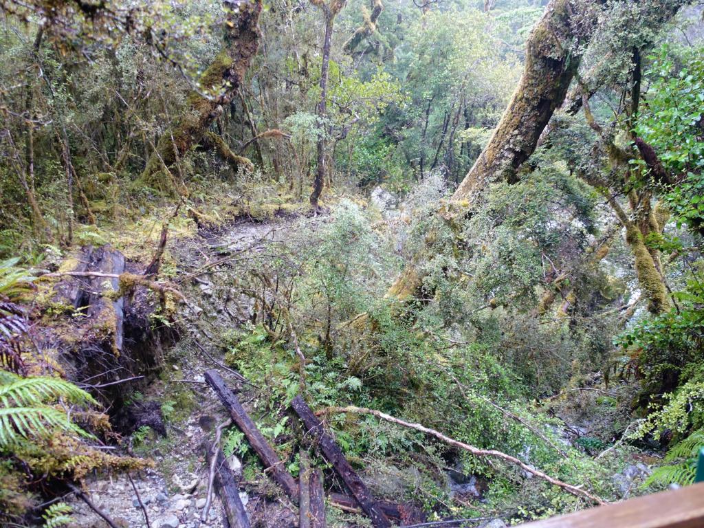 210 - 20150204 Milford Track