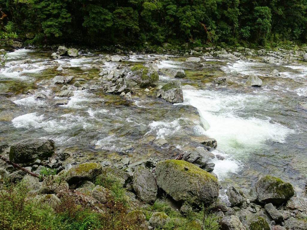 212 - 20150204 Milford Track