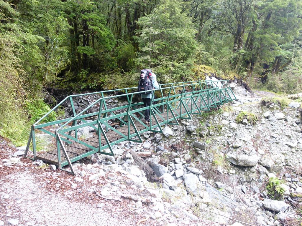 214 - 20150204 Milford Track