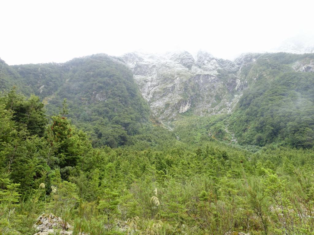 218 - 20150204 Milford Track