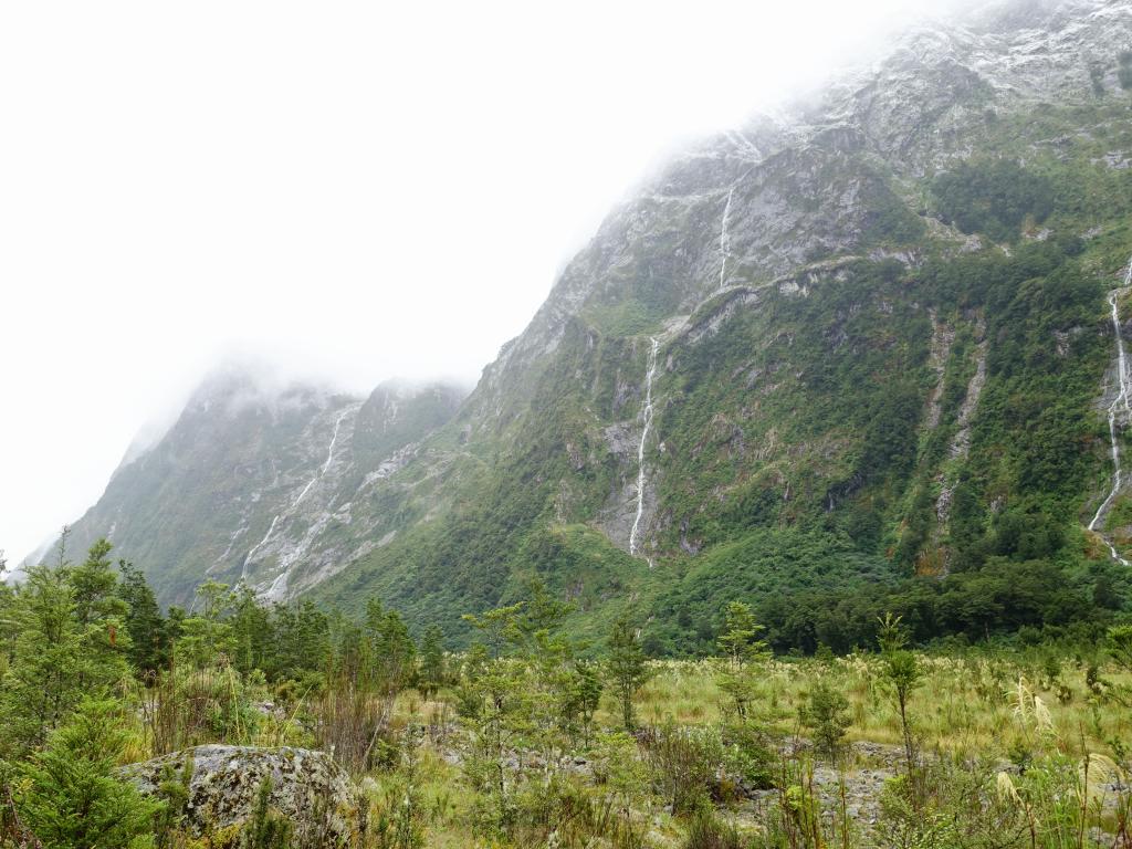 220 - 20150204 Milford Track