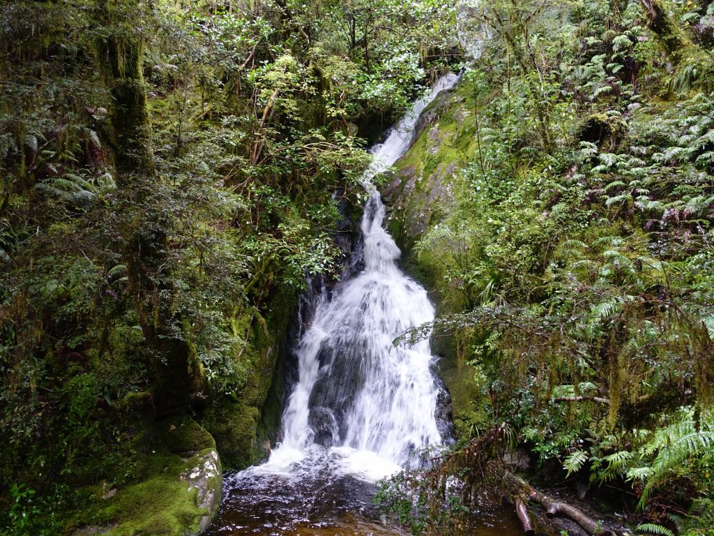 221 - 20150204 Milford Track