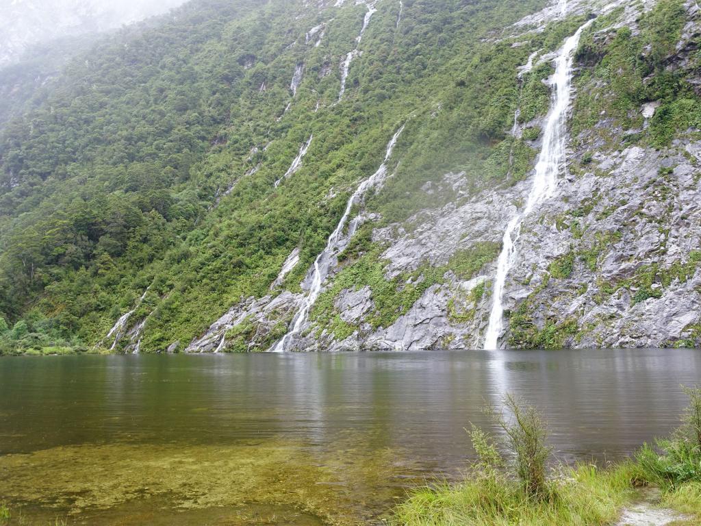 225 - 20150204 Milford Track