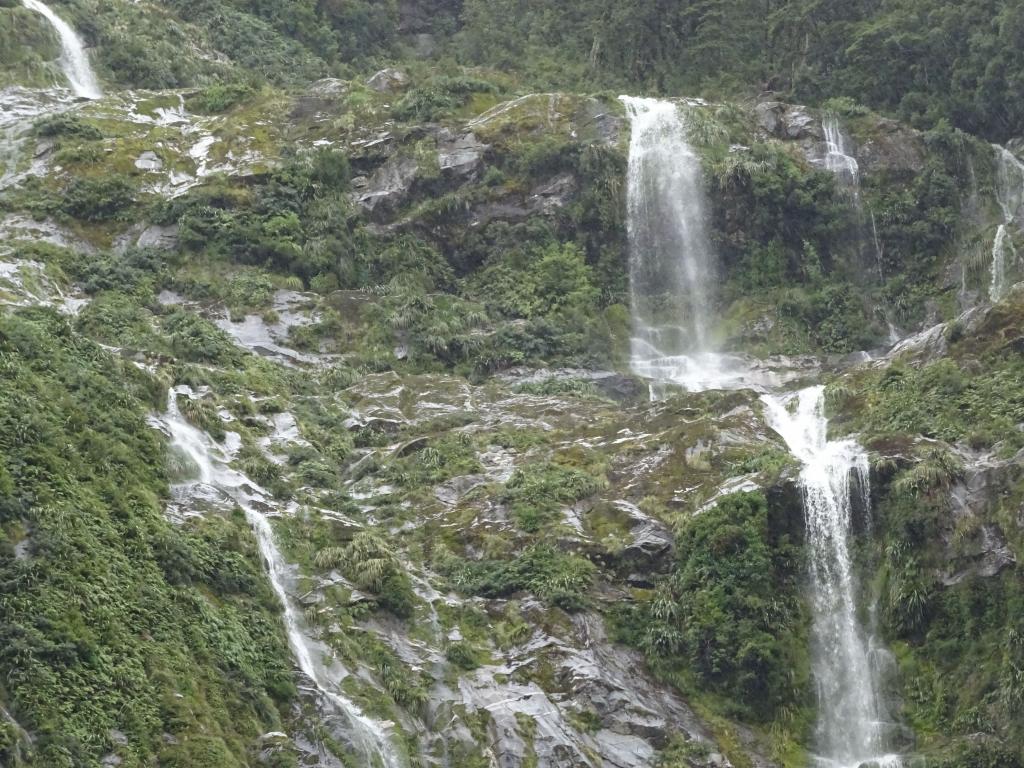 231 - 20150204 Milford Track