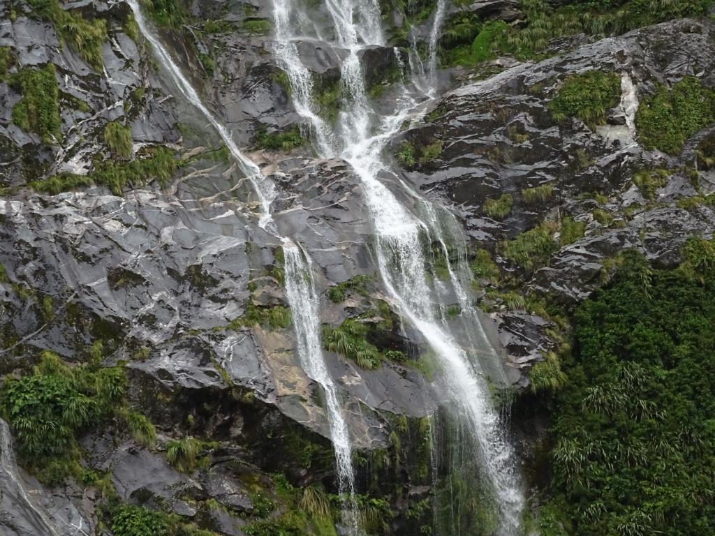 232 - 20150204 Milford Track