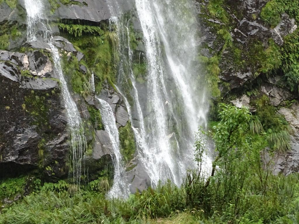 235 - 20150204 Milford Track