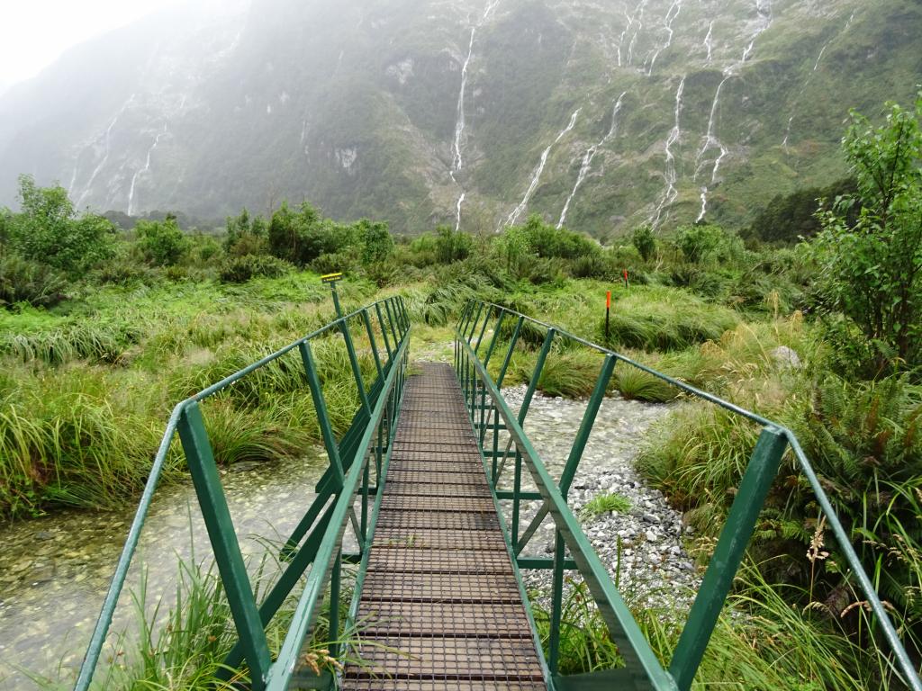 236 - 20150204 Milford Track