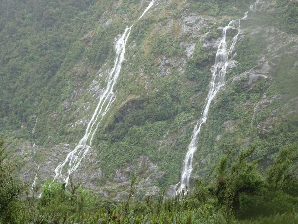 242 - 20150204 Milford Track