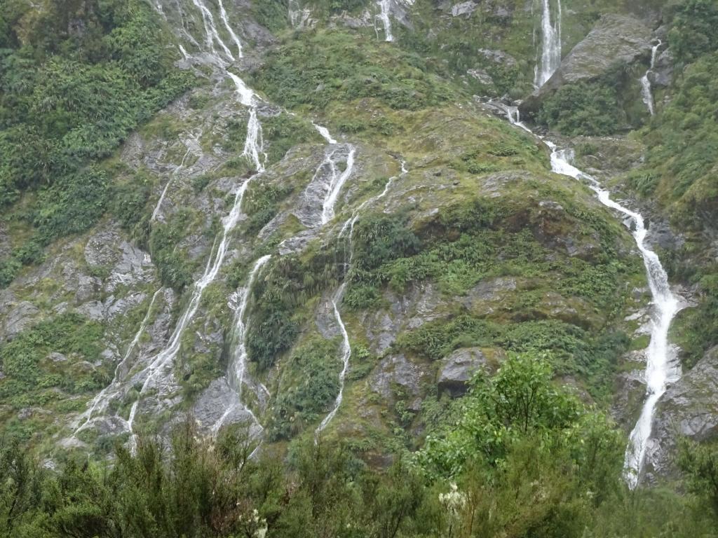 243 - 20150204 Milford Track