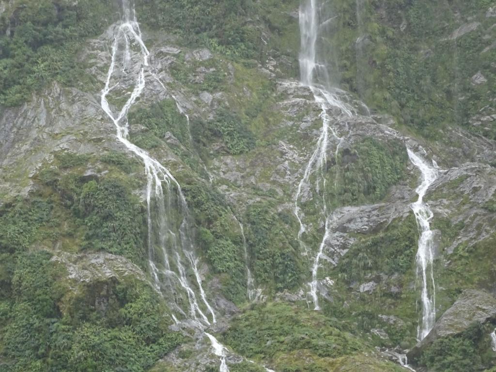 244 - 20150204 Milford Track