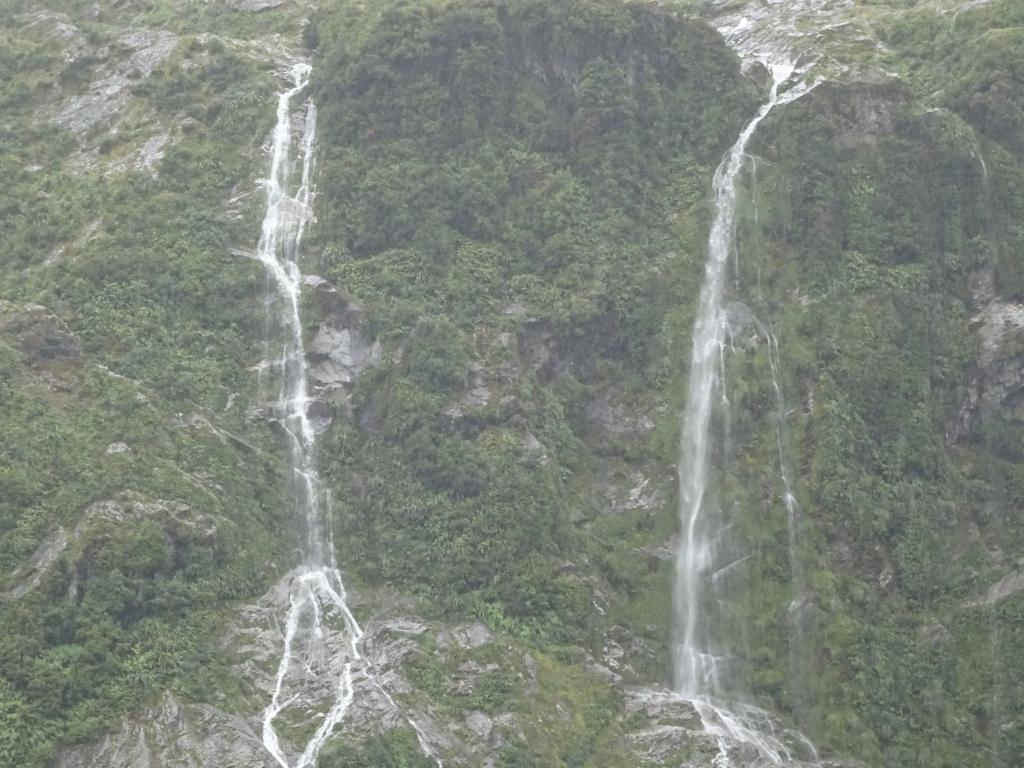 245 - 20150204 Milford Track