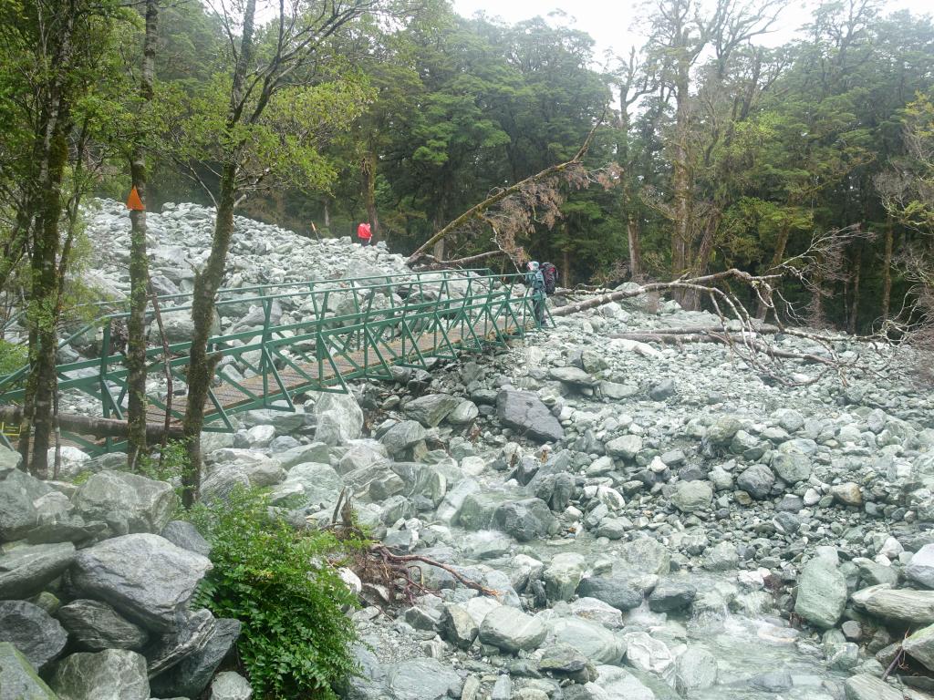 248 - 20150204 Milford Track