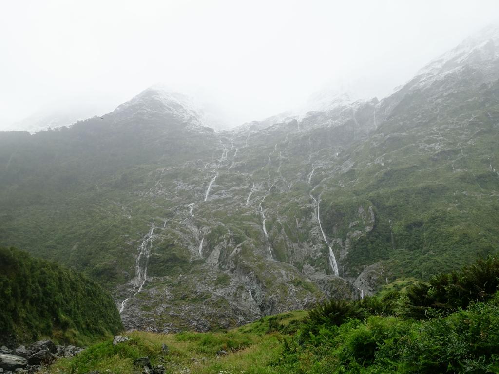 250 - 20150204 Milford Track