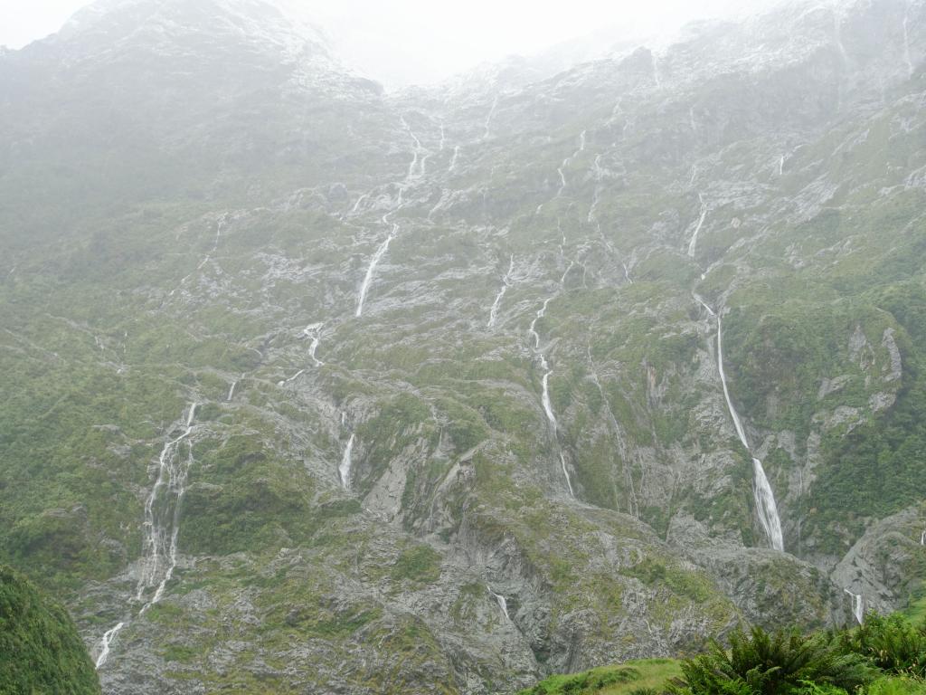 251 - 20150204 Milford Track