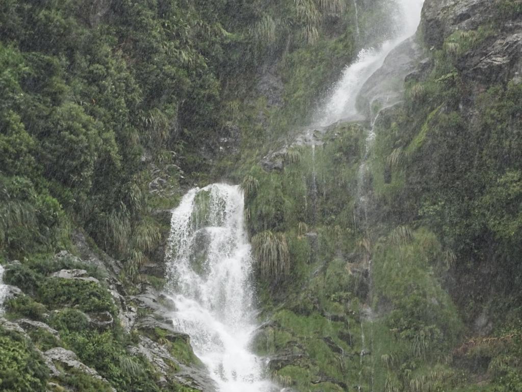 253 - 20150204 Milford Track