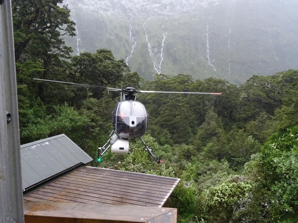 269 - 20150204 Milford Track