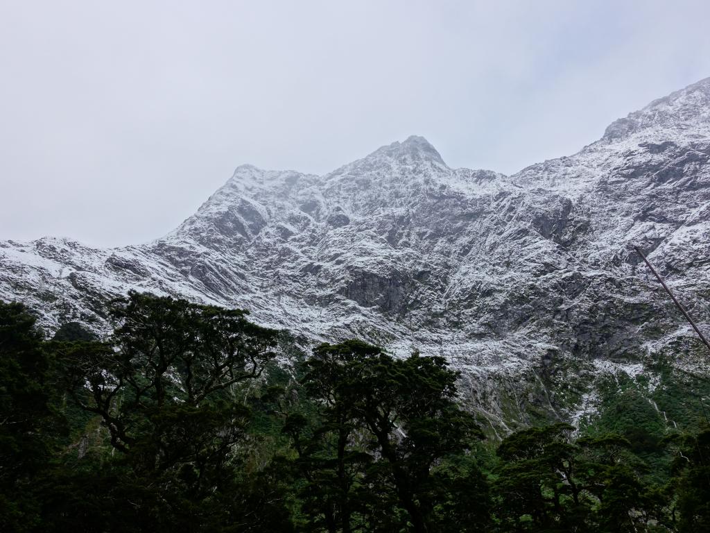 287 - 20150204 Milford Track