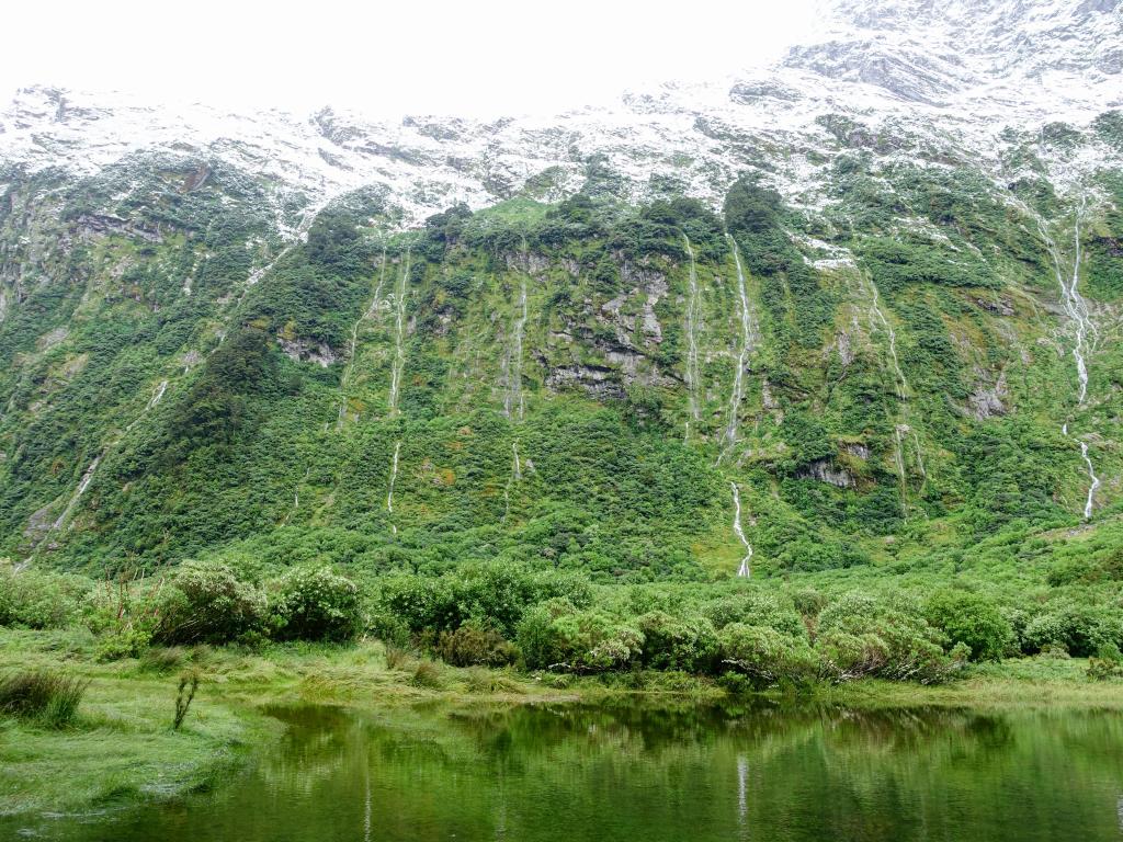 288 - 20150204 Milford Track