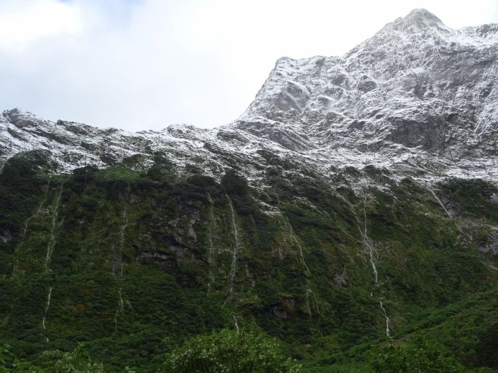 295 - 20150204 Milford Track