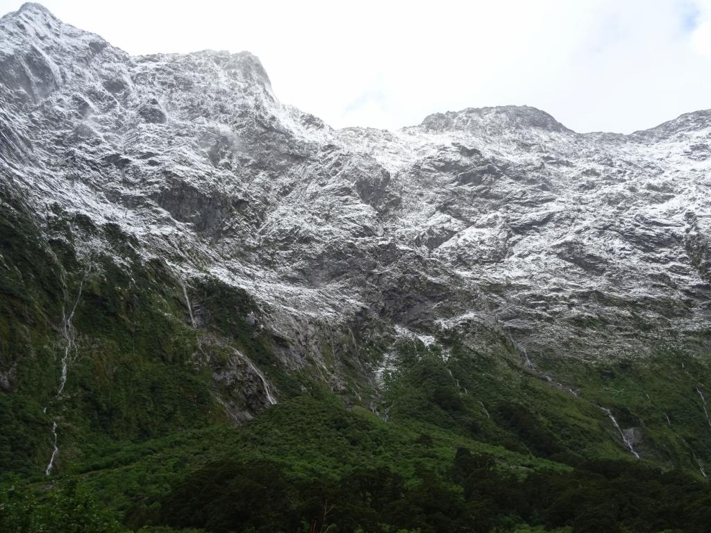 296 - 20150204 Milford Track