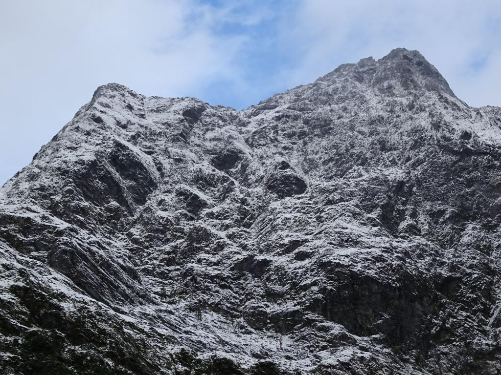 303 - 20150204 Milford Track