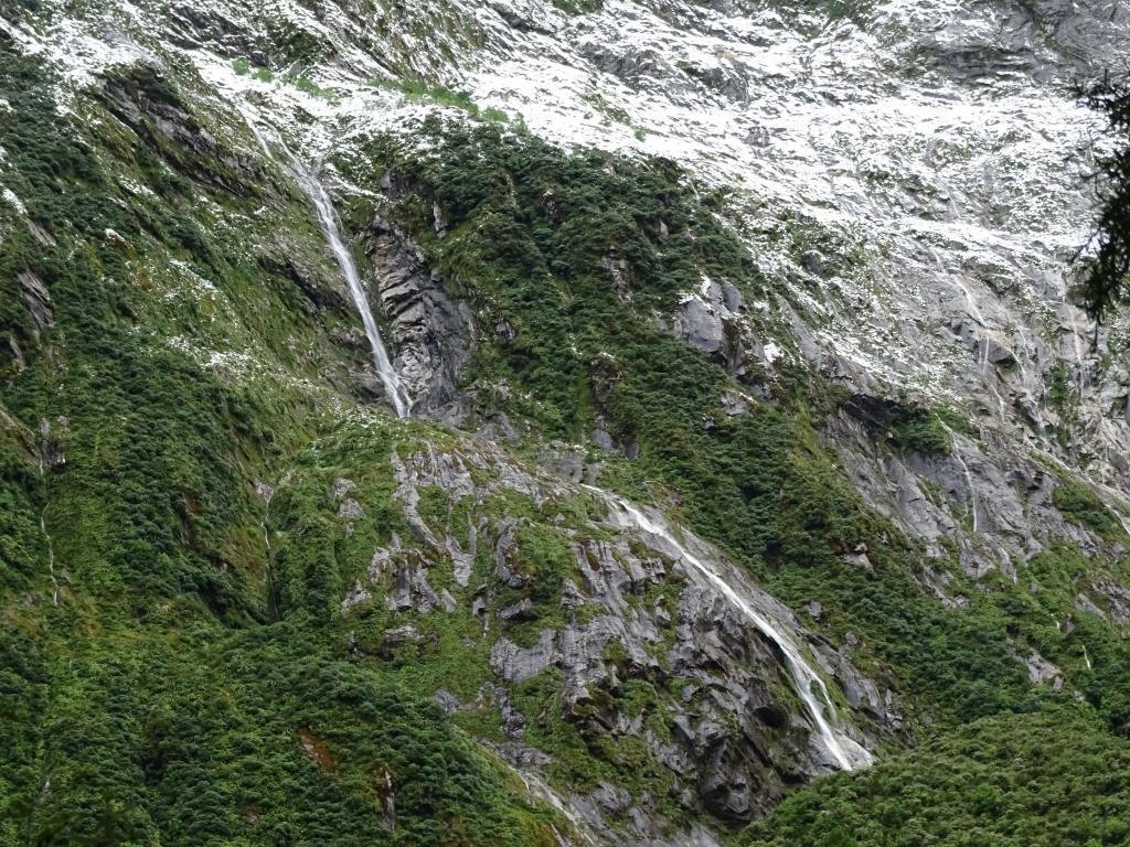 307 - 20150204 Milford Track