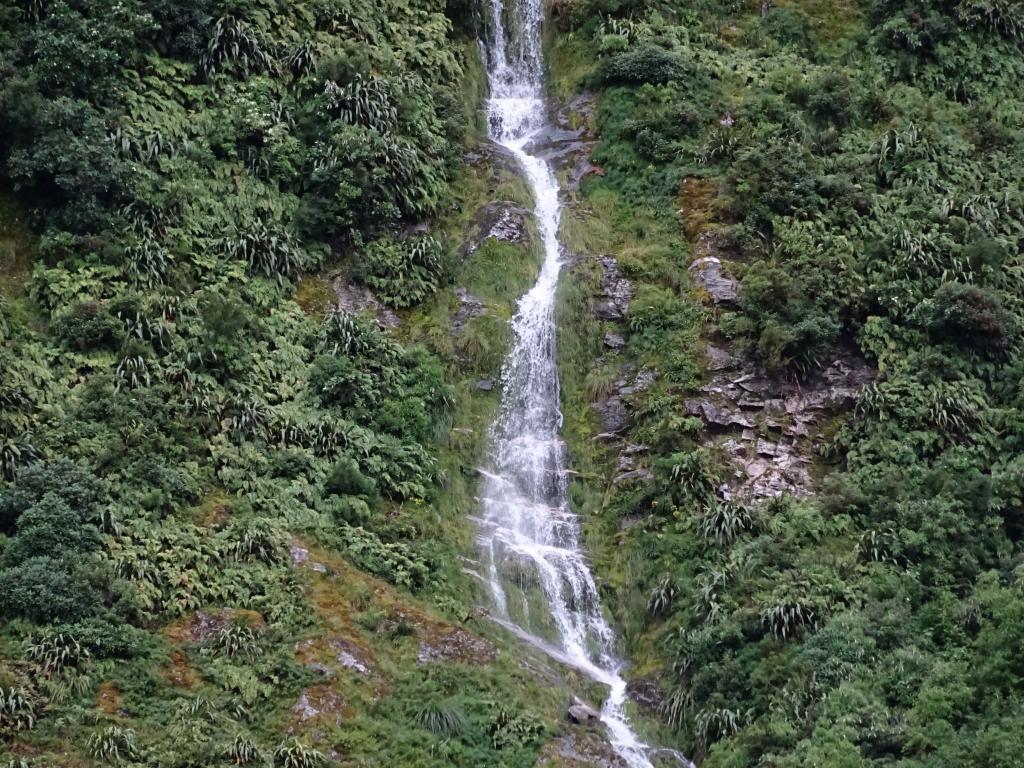 308 - 20150204 Milford Track